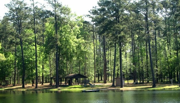 Chattahoochee State Park