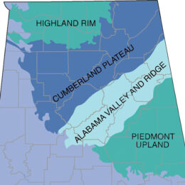 Piedmont Upland Physiographic Section