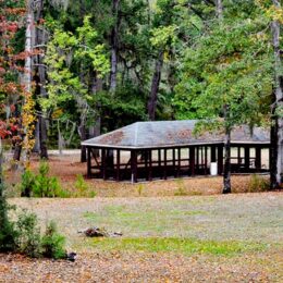 Bladon Springs State Park