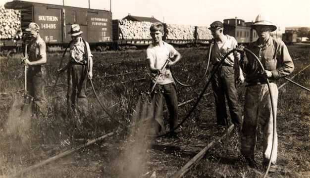 Boll Weevil Control