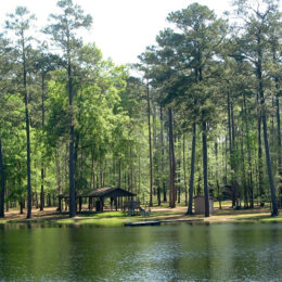 Chattahoochee State Park