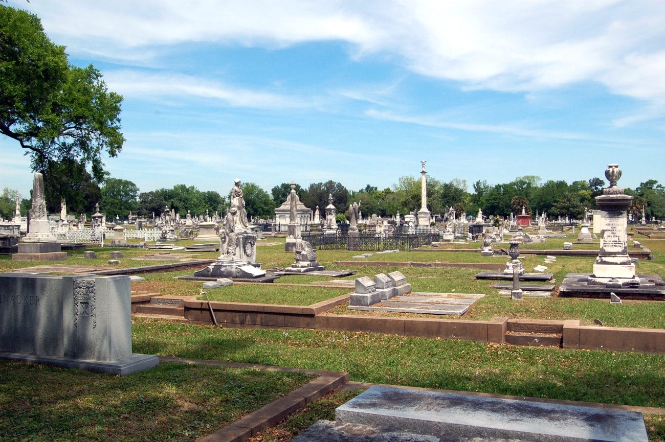 Magnolia Cemetery View