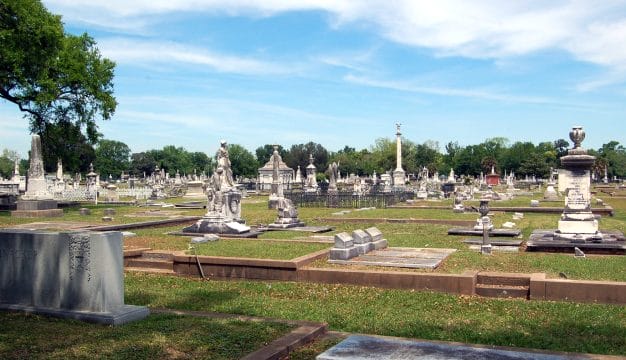 Magnolia Cemetery View