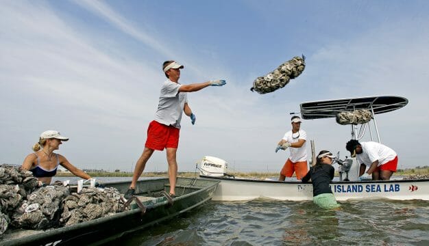 Shoreline Preservation